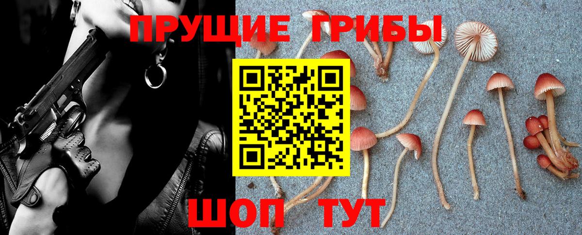 Коммунар  Псилоцибиновые грибы Psilocybe  Вход с VPN  Галлюциногенные грибы MAGIC MUSHROOMS 